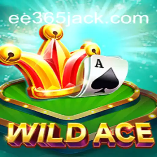 Explorando o Universo de WildAce: Um Mergulho nos Desafios e Regras do Jogo